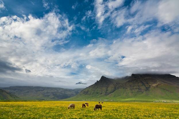 Sổ tay du lịch so tay du lich Sotaydulich Sotay Dulich Khampha Kham Pha Bui Iceland vùng đất băng giá