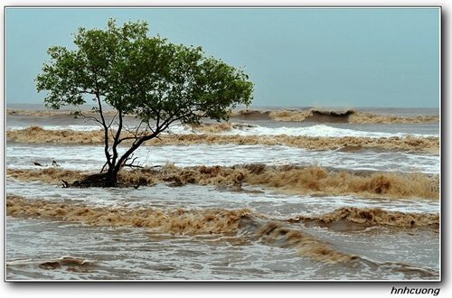 Sổ tay du lịch so tay du lich Sotaydulich Sotay Dulich Khampha Kham Pha Bui Kinh nghiệm du lịch bụi Trà Vinh 