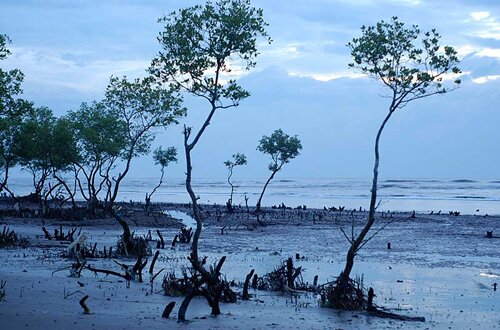 Sổ tay du lịch so tay du lich Sotaydulich Sotay Dulich Khampha Kham Pha Bui Kinh nghiệm du lịch bụi Trà Vinh 