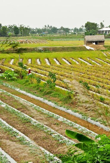 Sổ tay du lịch so tay du lich Sotaydulich Sotay Dulich Khampha Kham Pha Bui Kinh nghiệm du lịch bụi Trà Vinh 