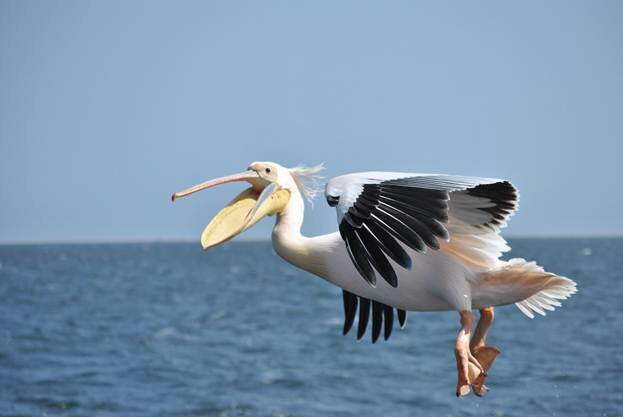  Sổ tay du lịch so tay du lich Sotaydulich Sotay Dulich Khampha Kham Pha Bui Đến trung tâm du lịch Walvis Bay