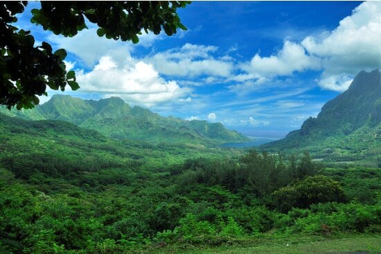 Sổ tay du lịch so tay du lich Sotaydulich Sotay Dulich Khampha Kham Pha Bui Tahiti Trái tim Polynesia 