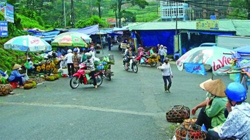 Sổ tay du lịch so tay du lich Sotaydulich Sotay Dulich Khampha Kham Pha Bui Tam Đảo trong biển mây