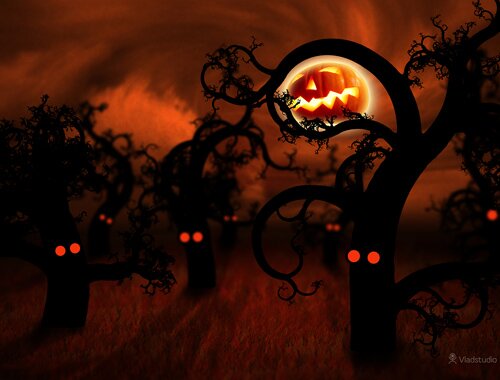 Sổ tay du lịch so tay du lich Sotaydulich Sotay Dulich Khampha Kham Pha Bui Lễ hội Halloween ở Sài Gòn