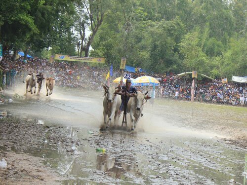 Sổ tay du lịch so tay du lich Sotaydulich Sotay Dulich Khampha Kham Pha Bui Du lịch An Giang mùa nước nổi 