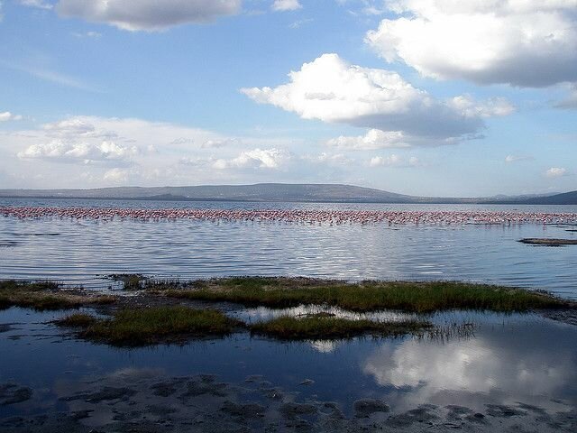 Sổ tay du lịch so tay du lich Sotaydulich Sotay Dulich Khampha Kham Pha Bui Một lần đến với Nakuru