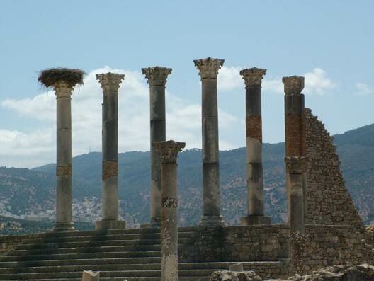 Sổ tay du lịch so tay du lich Sotaydulich Sotay Dulich Khampha Kham Pha Bui Di sản Morocco Volubilis