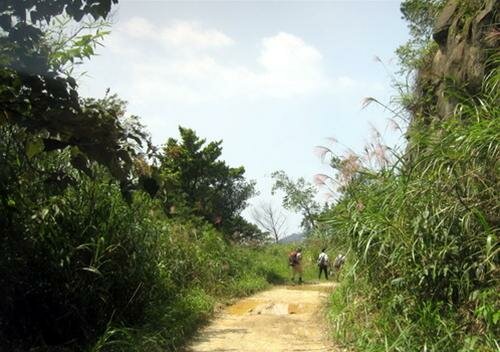 Sổ tay du lịch so tay du lich Sotaydulich Sotay Dulich Khampha Kham Pha Bui Trekking Tam Đảo mùa thu