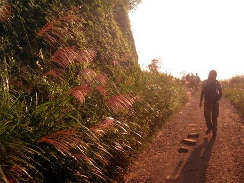 Sổ tay du lịch so tay du lich Sotaydulich Sotay Dulich Khampha Kham Pha Bui Trekking Tam Đảo mùa thu