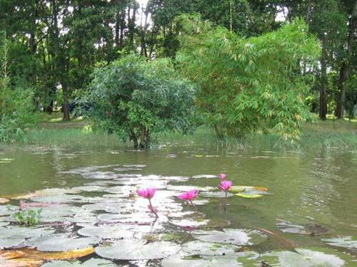 Sổ tay du lịch so tay du lich Sotaydulich Sotay Dulich Khampha Kham Pha Bui Mênh mang hồ Lak