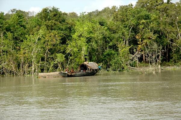 Sổ tay du lịch so tay du lich Sotaydulich Sotay Dulich Khampha Kham Pha Bui Sundarbans khu rừng ngập mặn lớn nhất thế giới