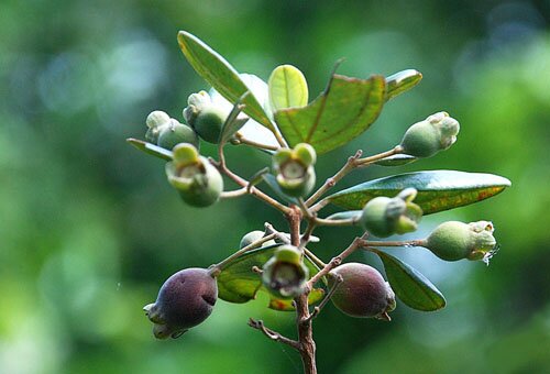 Sổ tay du lịch so tay du lich Sotaydulich Sotay Dulich Khampha Kham Pha Bui Kinh nghiệm du lịch bụi Phú Quốc