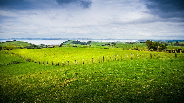 Sổ tay du lịch so tay du lich Sotaydulich Sotay Dulich Khampha Kham Pha Bui Ngỡ ngàng một New Zealand sắc màu