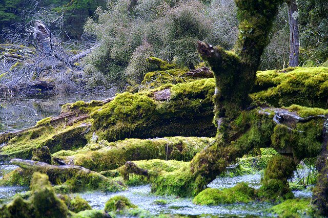 Sổ tay du lịch so tay du lich Sotaydulich Sotay Dulich Khampha Kham Pha Bui Ngỡ ngàng một New Zealand sắc màu