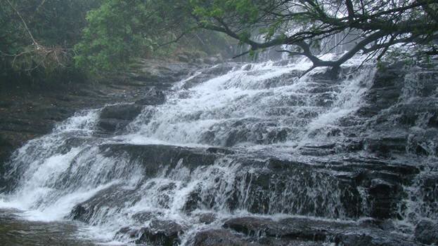 Sổ tay du lịch so tay du lich Sotaydulich Sotay Dulich Khampha Kham Pha Bui Kodaikanal món quà của rừng