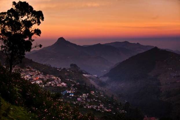 Sổ tay du lịch so tay du lich Sotaydulich Sotay Dulich Khampha Kham Pha Bui Kodaikanal món quà của rừng