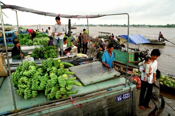 Sổ tay du lịch so tay du lich Sotaydulich Sotay Dulich Khampha Kham Pha Bui Chợ nổi Long Xuyên 