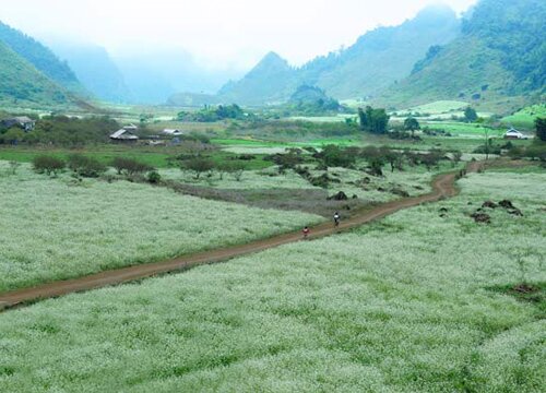 Sổ tay du lịch so tay du lich Sotaydulich Sotay Dulich Khampha Kham Pha Bui 4 điểm đến mùa đông tuyệt vời tại Việt Nam