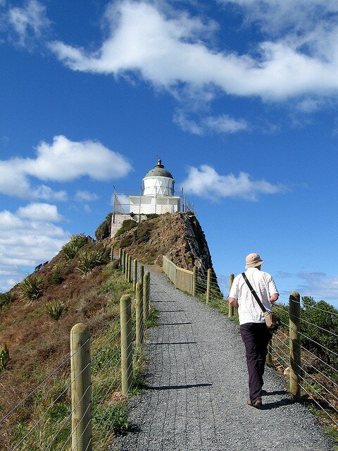 Sổ tay du lịch so tay du lich Sotaydulich Sotay Dulich Khampha Kham Pha Bui Nugget Point ngọn hải đăng bên bờ biển Otago