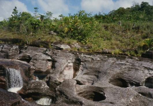 Sổ tay du lịch so tay du lich Sotaydulich Sotay Dulich Khampha Kham Pha Bui Cano Cristales Dòng sông lung linh sắc màu