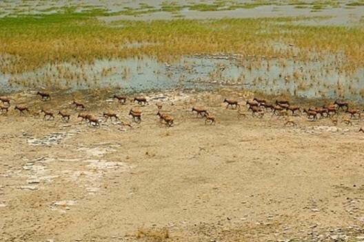 Sổ tay du lịch so tay du lich Sotaydulich Sotay Dulich Khampha Kham Pha Bui Di sản Kenya Vườn quốc gia hồ Turkana 