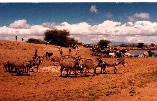 Sổ tay du lịch so tay du lich Sotaydulich Sotay Dulich Khampha Kham Pha Bui Di sản Kenya Vườn quốc gia hồ Turkana 