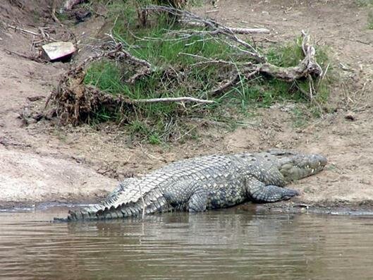 Sổ tay du lịch so tay du lich Sotaydulich Sotay Dulich Khampha Kham Pha Bui Di sản Kenya Vườn quốc gia hồ Turkana 