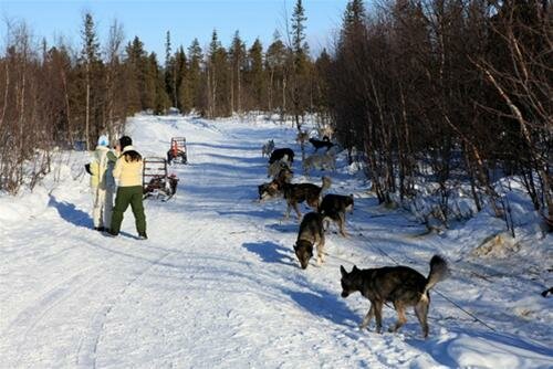 Sổ tay du lịch so tay du lich Sotaydulich Sotay Dulich Khampha Kham Pha Bui Xứ sở tuyết trắng Kiruna