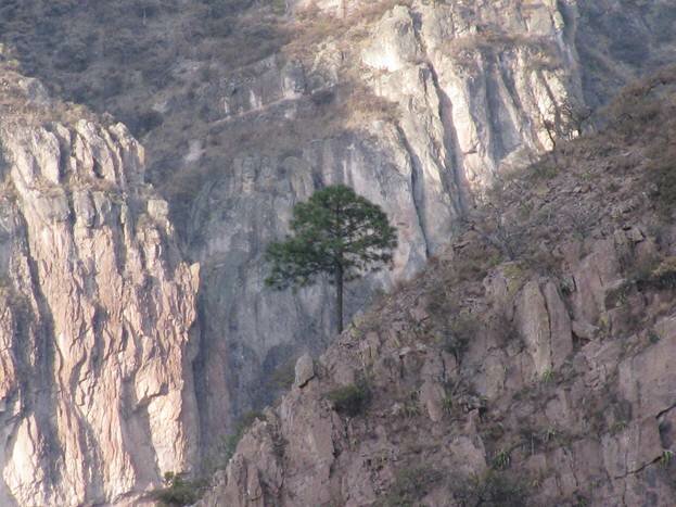 Sổ tay du lịch so tay du lich Sotaydulich Sotay Dulich Khampha Kham Pha Bui Mexico Vùng đất bí ẩn