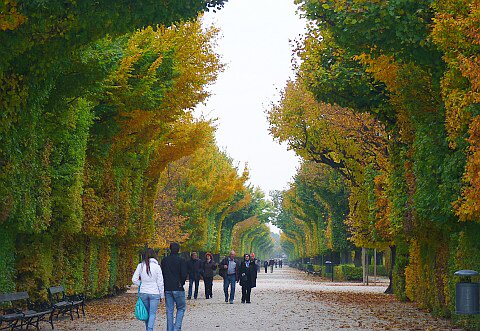 Sổ tay du lịch so tay du lich Sotaydulich Sotay Dulich Khampha Kham Pha Bui Thành Vienna lãng mạn mùa thu