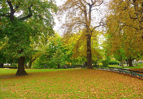 Sổ tay du lịch so tay du lich Sotaydulich Sotay Dulich Khampha Kham Pha Bui Thành Vienna lãng mạn mùa thu