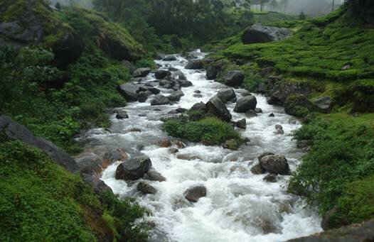 Sổ tay du lịch so tay du lich Sotaydulich Sotay Dulich Khampha Kham Pha Bui Munnar Xứ sở của những đồi chè