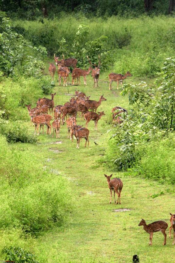 Sổ tay du lịch so tay du lich Sotaydulich Sotay Dulich Khampha Kham Pha Bui Coorg Scotland của Ấn Độ 