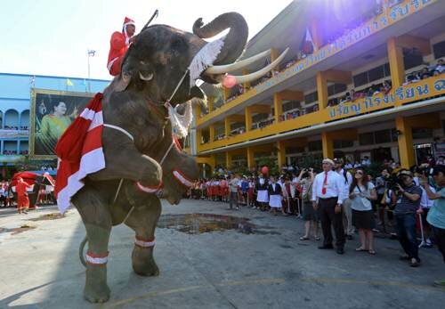 Sổ tay du lịch so tay du lich Sotaydulich Sotay Dulich Khampha Kham Pha Bui Thế giới đón Giáng sinh 2012