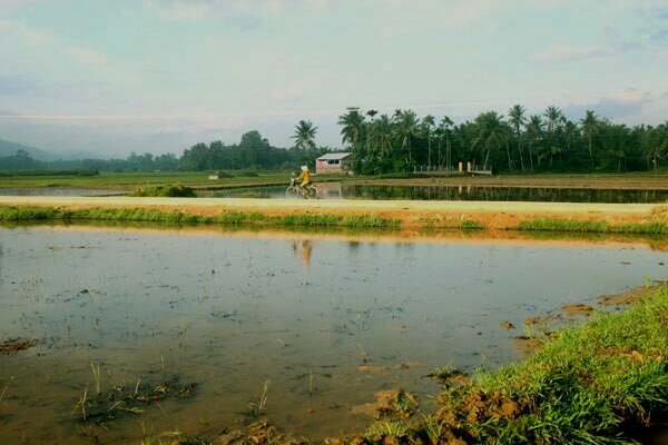 Sổ tay du lịch so tay du lich Sotaydulich Sotay Dulich Khampha Kham Pha Bui Gành đá Lộ Diêu