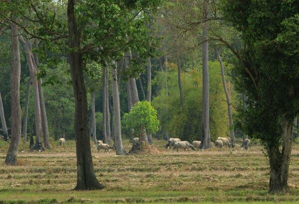 Sổ tay du lịch so tay du lich Sotaydulich Sotay Dulich Khampha Kham Pha Bui Vẻ đẹp Vườn Quốc gia Cát Tiên