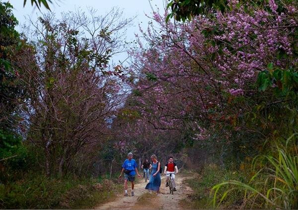 Sổ tay du lịch so tay du lich Sotaydulich Sotay Dulich Khampha Kham Pha Bui Vẻ đẹp Vườn Quốc gia Cát Tiên