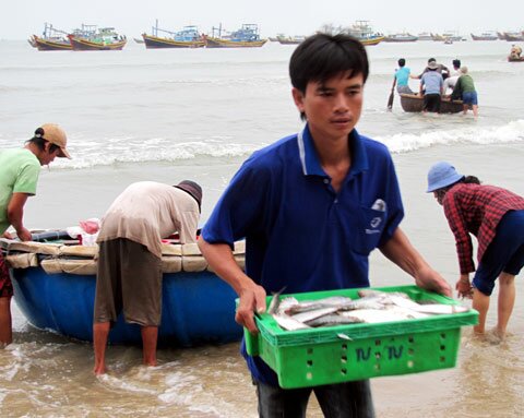 Sổ tay du lịch so tay du lich Sotaydulich Sotay Dulich Khampha Kham Pha Bui Mũi Kê Gà đẹp nguyên sơ và thanh bình