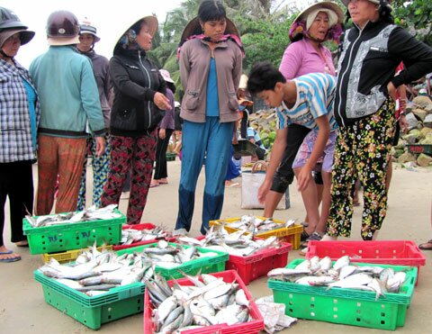 Sổ tay du lịch so tay du lich Sotaydulich Sotay Dulich Khampha Kham Pha Bui Mũi Kê Gà đẹp nguyên sơ và thanh bình