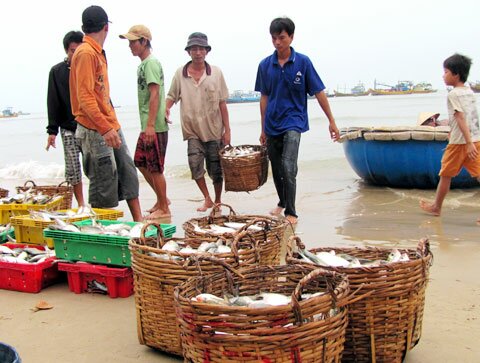 Sổ tay du lịch so tay du lich Sotaydulich Sotay Dulich Khampha Kham Pha Bui Mũi Kê Gà đẹp nguyên sơ và thanh bình