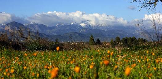 Sổ tay du lịch so tay du lich Sotaydulich Sotay Dulich Khampha Kham Pha Bui Mallorca Địa điểm nghỉ dưỡng lý tưởng ở Tây Ban Nha