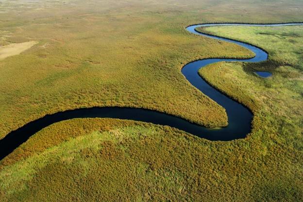 Sổ tay du lịch so tay du lich Sotaydulich Sotay Dulich Khampha Kham Pha Bui Động vật vùng đồng bằng Okavango