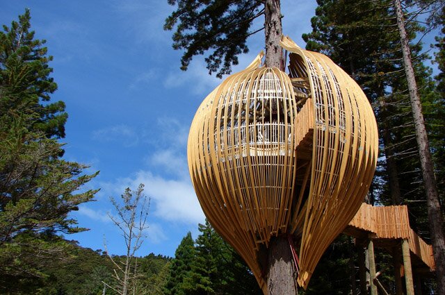 Sổ tay du lịch so tay du lich Sotaydulich Sotay Dulich Khampha Kham Pha Bui Ngủ trên cao sống lơ lửng ở khu nghỉ dưỡng Redwoods Treehouse