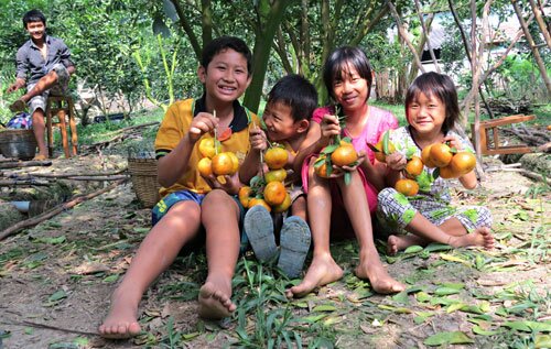 Sổ tay du lịch so tay du lich Sotaydulich Sotay Dulich Khampha Kham Pha Bui Lai Vung vương quốc quýt hồng