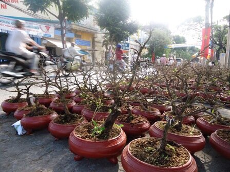 Sổ tay du lịch so tay du lich Sotaydulich Sotay Dulich Khampha Kham Pha Bui Thăm chợ hoa Trên bến dưới thuyền ở TPHCM 