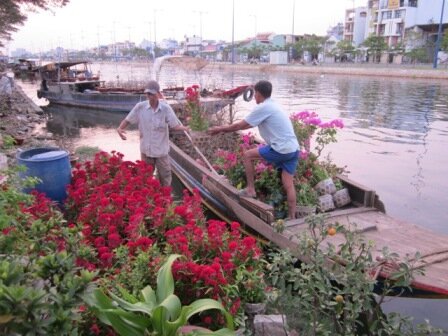 Sổ tay du lịch so tay du lich Sotaydulich Sotay Dulich Khampha Kham Pha Bui Thăm chợ hoa Trên bến dưới thuyền ở TPHCM 