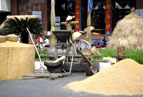 Sổ tay du lịch so tay du lich Sotaydulich Sotay Dulich Khampha Kham Pha Bui Ảnh đường hoa Nguyễn Huệ qua các năm