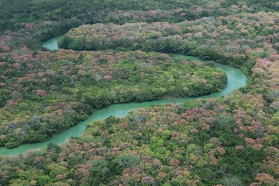 Sổ tay du lịch so tay du lich Sotaydulich Sotay Dulich Khampha Kham Pha Bui Belize vùng đất cảng của người Maya