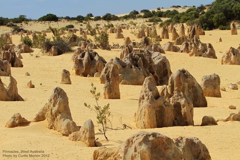 Sổ tay du lịch so tay du lich Sotaydulich Sotay Dulich Khampha Kham Pha Bui Bãi đá kỳ lạ ở Pinnacles