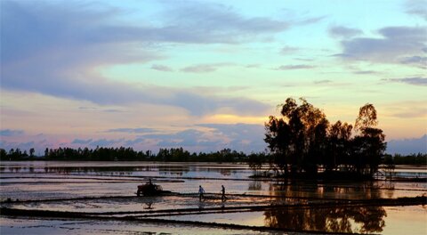 Sổ tay du lịch so tay du lich Sotaydulich Sotay Dulich Khampha Kham Pha Bui Khám phá vườn chim Tam Nông